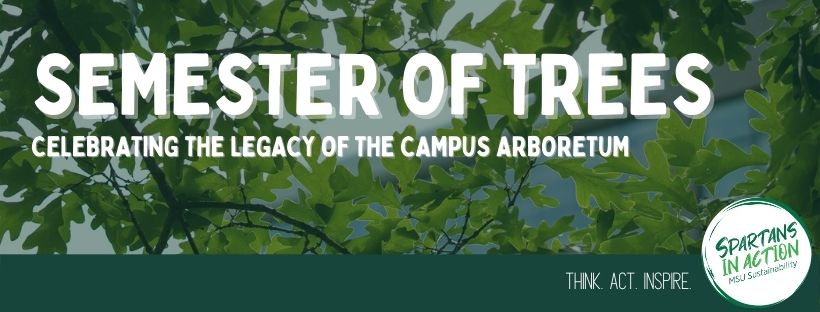 Semester of Trees Banner with Leaves in Background